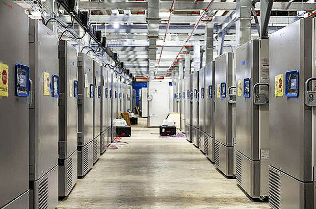 초저온급속동결